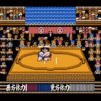 Sumo Wrestling Screenthot 2